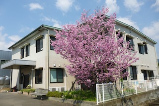 施設